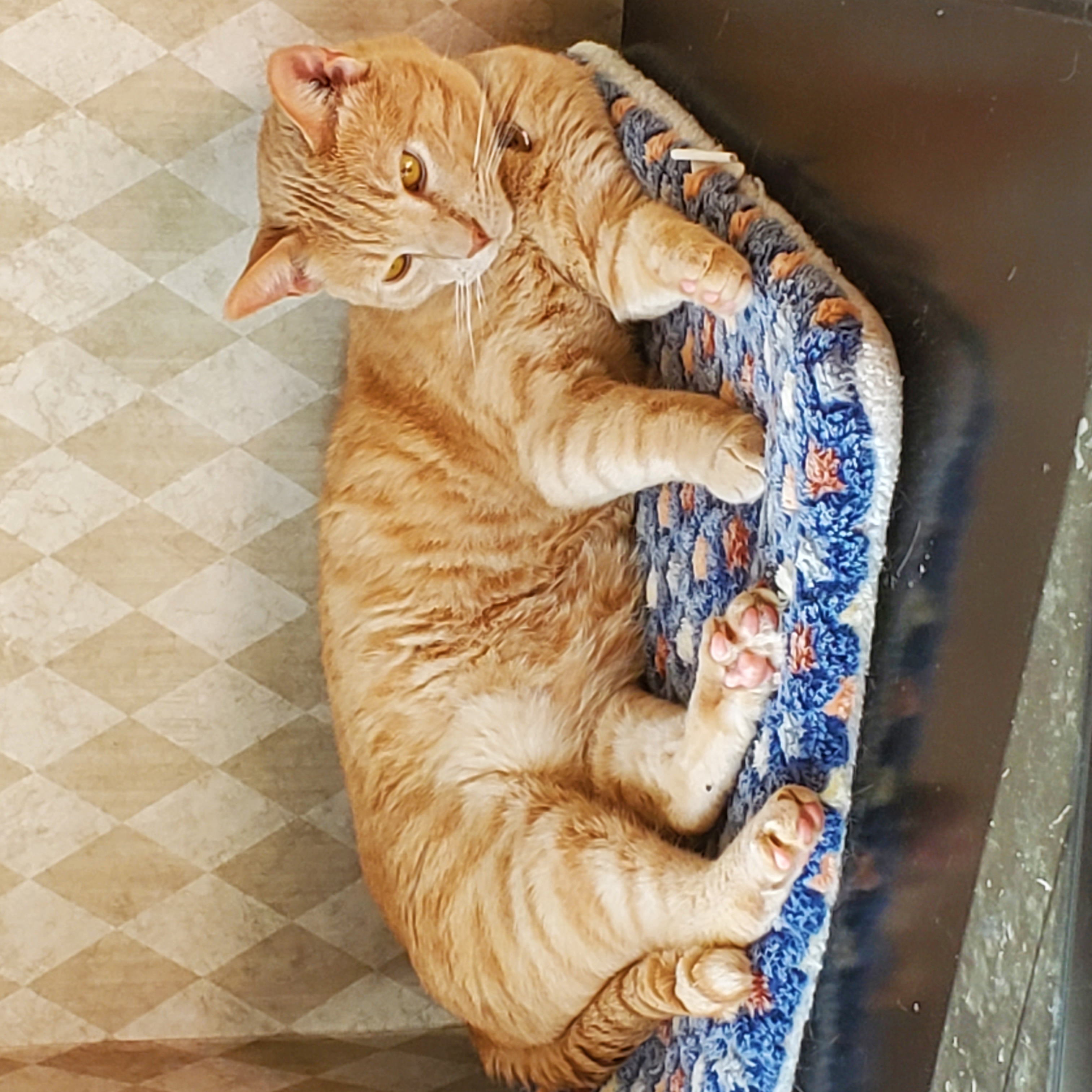George on a freezer