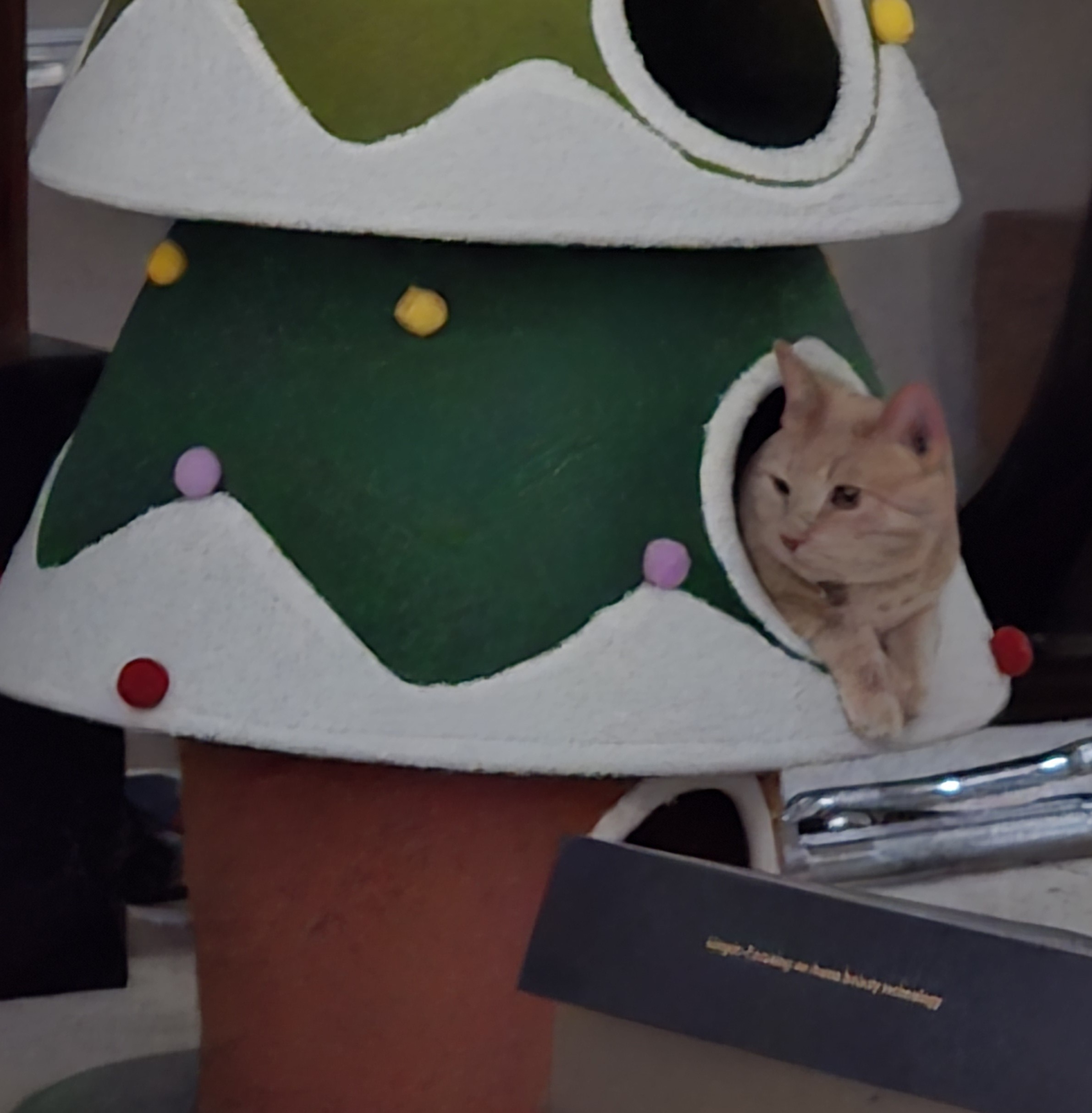 George in a Christmas tree
